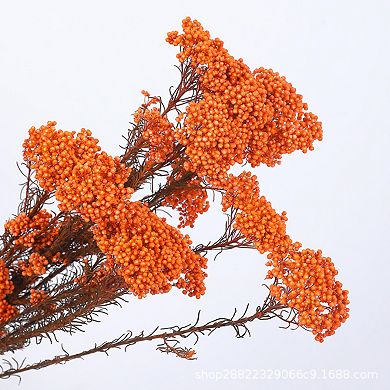 Decorative Dried Berry Stems for Home Decoration and Floral Arrangements