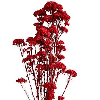 Decorative Dried Berry Stems for Home Decoration and Floral Arrangements