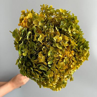 Decorative Dried Hydrangea Blooms for Home Decoration and Floral Arrangements