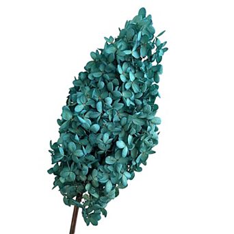 Decorative Dried Hydrangea Blooms for Home Decoration and Floral Arrangements