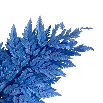 Decorative Dried Fern Leaves for Home Decoration and Floral Arrangements