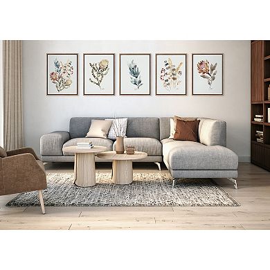 Sylvie Wild Banksia Framed Canvas by Sara Berrenson