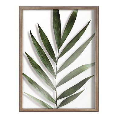 Blake Botanical 5F Framed Printed Glass by Amy Peterson