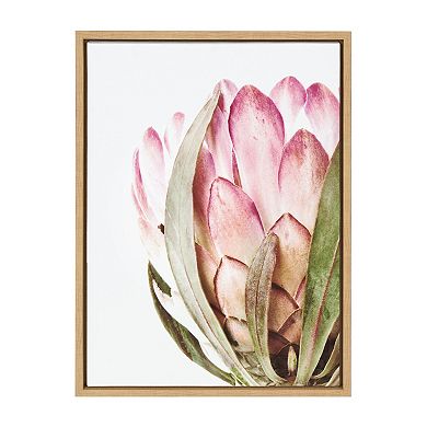Sylvie Pink Protea Flower Framed Canvas by Amy Peterson