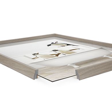 Blake Penguins Bathroom Framed Printed Glass by Amy Peterson Art Studio