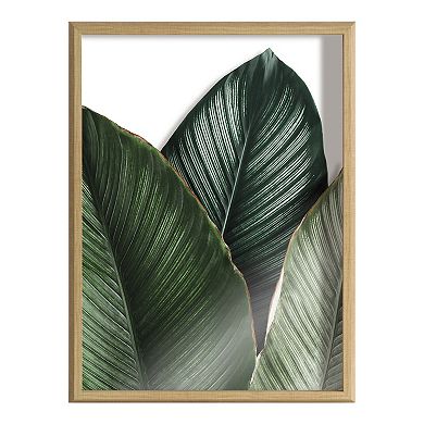 Blake Tropical Palm Leaves Framed Printed Glass by Amy Peterson Art Studio