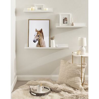 Sylvie Animal Studio Baby Horse Framed Canvas by Amy Peterson Art Studio