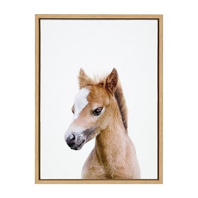 Sylvie Animal Studio Baby Horse Framed Canvas by Amy Peterson Art Studio