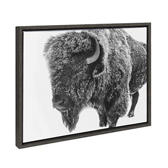 Sylvie Bison in Snow Black and White Framed Canvas by Amy Peterson Art Studio