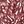Pink Paint Texture