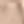 Rose Tone