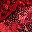 High Risk Red