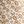 Beige Little Floral