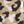 Tan Leopard