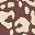 Brown Leopard