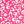Fuchsia Cheetah