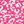 Fuchsia Cheetah