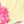 Yellow Pink