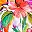 Island Bright Tropical