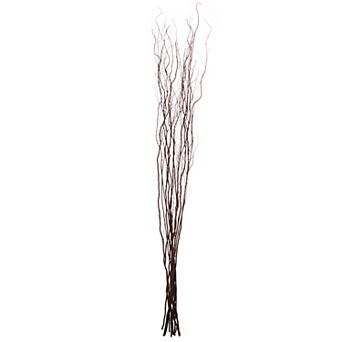 Uniquewise 12 pc Decorative Dry Branches Willow Sticks - Large