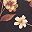 Natural Bloom