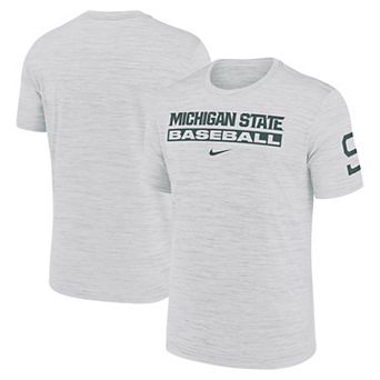 Men's Nike Ash Michigan State Spartans Velocity Baseball Wordmark Stack Dri-FIT T-Shirt
