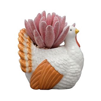 Celebrate Together™ Fall Turkey Artificial Succulent Table Decor