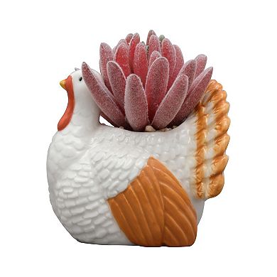 Celebrate Together Fall Turkey Artificial Succulent Table Decor