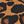 Tan Leopard