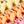 Bright Multi