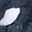 Navy Blue White