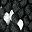 Black White