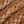 Red Brown