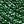 Blackish Green