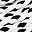 White Black