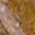 Yellow Brown