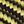 Light Yellow Black