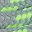 Light Gray Green
