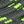 Dark Gray Green