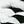 White Black