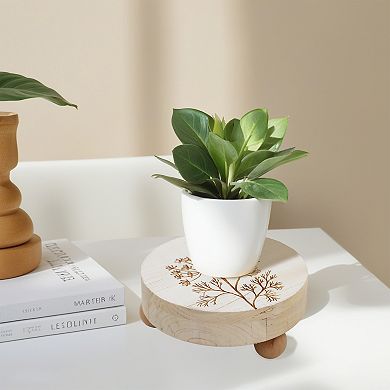 Parisloft Round Wood Display Riser for Home Decor, White, 7.7 Dia.