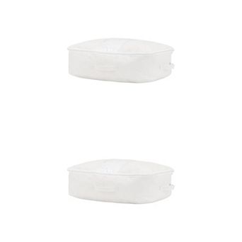 2 Pack Foldable Storage Bags, Moving Bags for Closet Organizers, and Storage with Handles