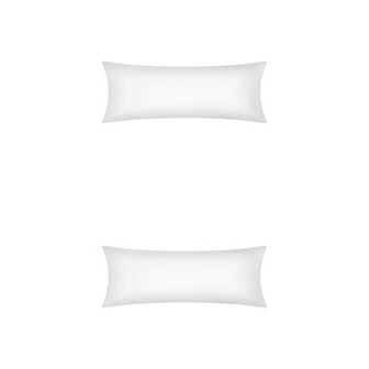 2 pc Satin Pillow Cases for Hair and Skin Breathable, Cooling Pillow Covers with Envelope Closure