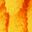 Orange With Leaf
