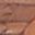 Walnut Color