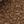 Chestnut