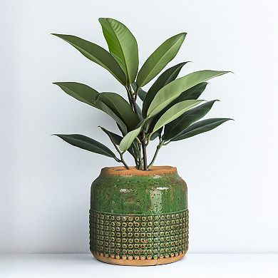 Storied Home Round Terra-cotta Hobnail Heavily Distressed Planter Vase