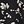 Black Tara Floral