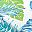 Blue Fern