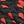 Black Red